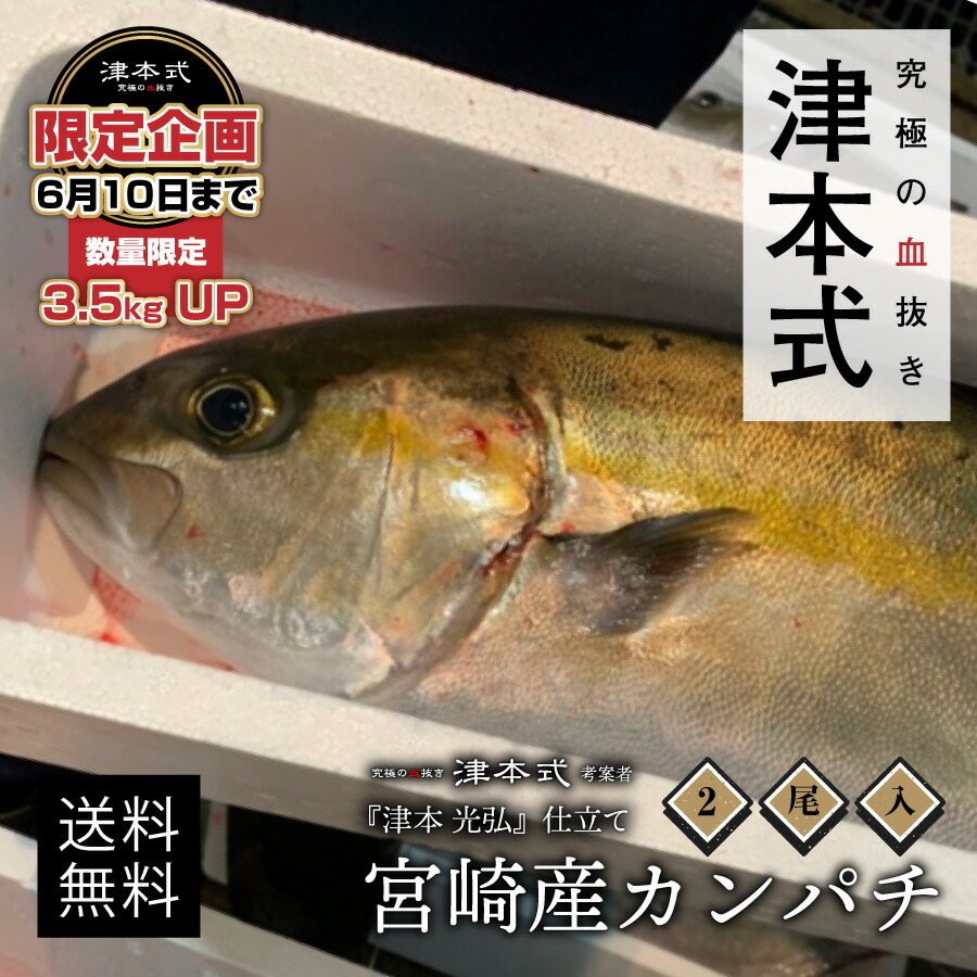 築港本祭り 津本光弘 本人ぬい物 極の血抜き カンパチ2尾っぽ価格ウェート 1尾殆ど3 5kgup 涵養 貨物輸送無料 宮崎県から逓送津本格的 血抜き 鮮魚 手段 鮮魚レボリューション 図書 究極の血抜き 津本式 で引合せる 刺身 Youtube 好評 Djmarrs Co Nz