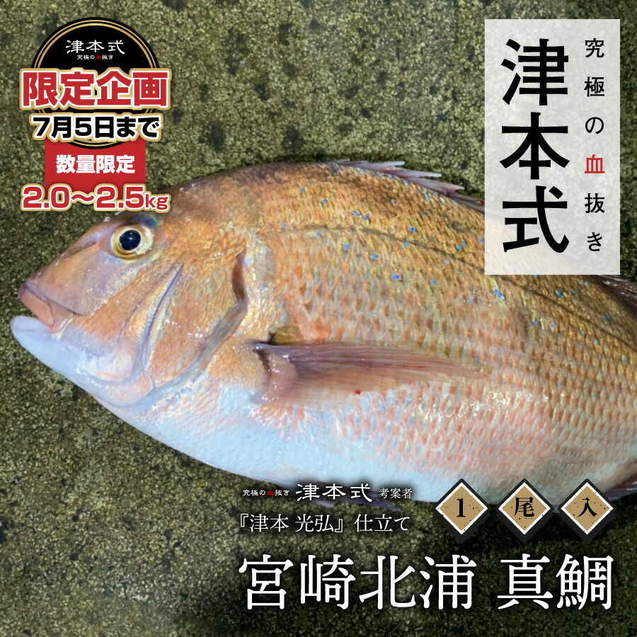 限定企画 7 5まで受付 津本式 津本光弘 本人仕立て 究極の血抜き 宮崎県北浦産 真鯛重量 約2 2 5kg 養殖 送料無料 宮崎県から発送 津本式 血抜き 鮮魚 メディア 鮮魚革命 著書 究極の血抜き 津本式 で紹介 刺身 Youtube 人気 Fmcholollan Org Mx