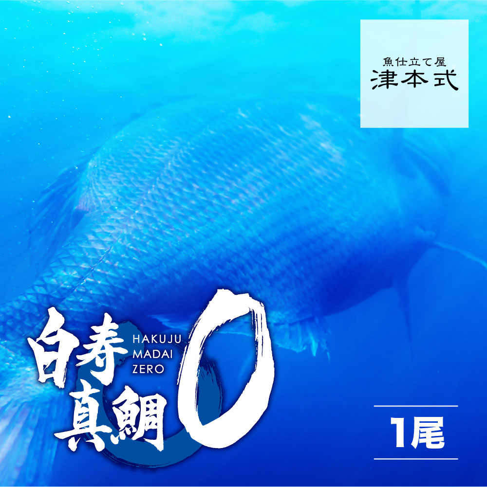 <br>津本式 仕立て師：赤坂竜太郎 白寿真鯛ZERO<br>重量1.8kg前後 養殖 送料無料 愛媛県から発送<BR>津本式 血抜き 雑誌 鮮魚