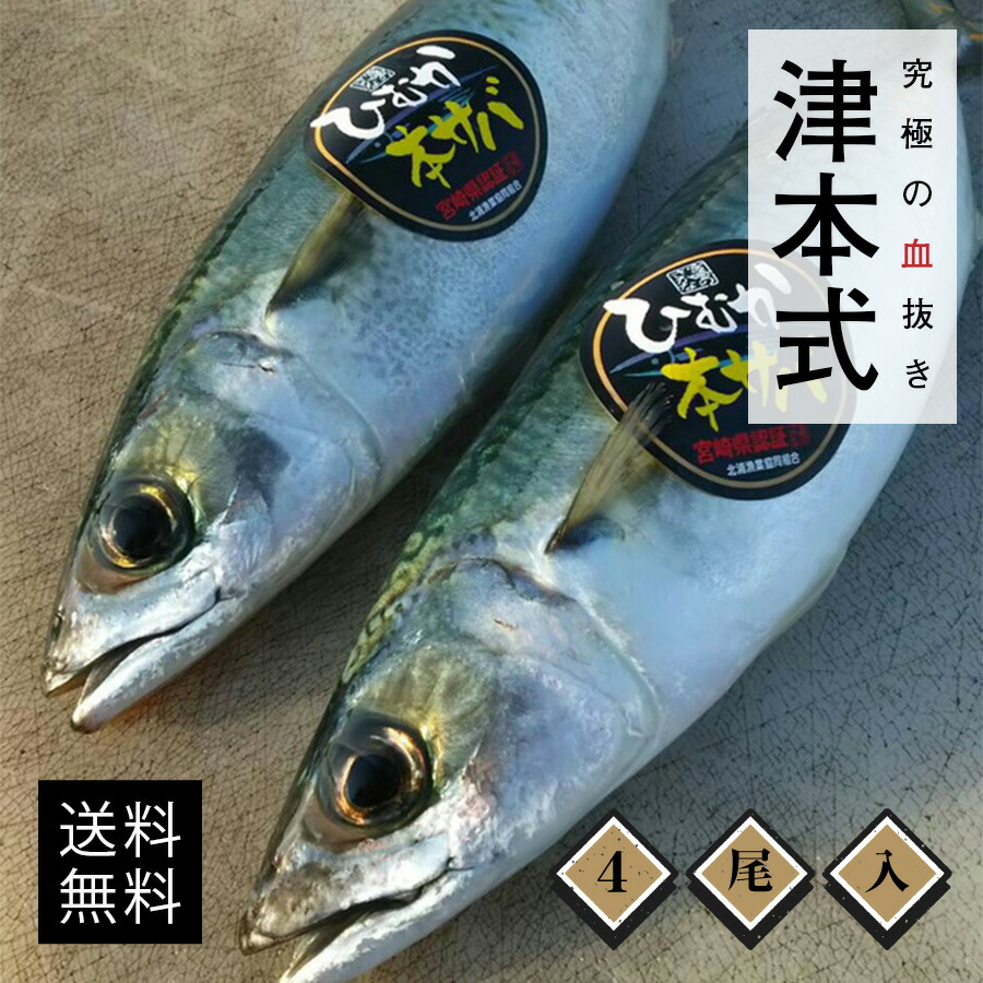 楽天市場 津本式 津本光弘 本人仕立て 究極の血抜き日向本鯖 ヒムカホンサバ 重量 約500g 600g 4本入り 養殖 送料無料 著書 究極の 血抜き 津本式 後払い決済 銀行振り込み コンビニ前払いの注文不可 魚仕立屋 津本式 楽天市場店