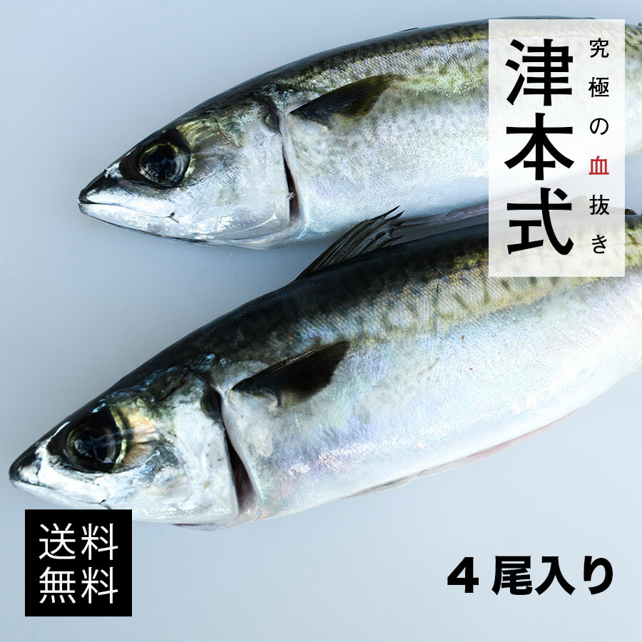 高質で安価 楽天市場 津本式 仕立て師 清原功次 究極のオリーブ鯖4尾入り重量 1尾約500 600g 養殖 送料無料 香川県から発送 津本式 血抜き 鮮魚 メディア 鮮魚革命 著書 究極の血抜き 津本式 で紹介 刺身 Youtube 人気 魚仕立屋 津本式 楽天市場店 限定価格