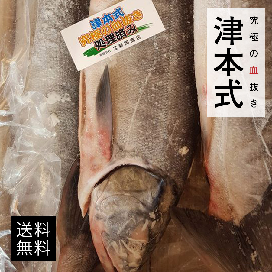 市場 津本式 送料無料 血抜き 鮮魚 伸東ヒラメ重量約0 8kg 養殖