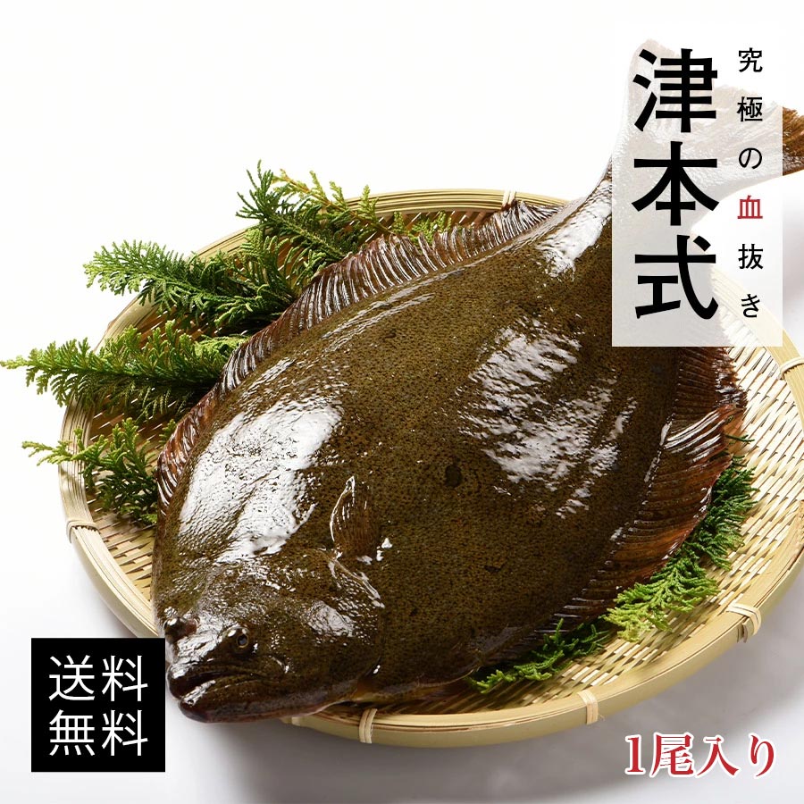 津本式 仕立て師 徳増邦彦 伸東ヒラメ重量約0 8kg 養殖 送料無料 津本式 血抜き 鮮魚 メディア 鮮魚革命 著書 究極の血抜き 津本式 で紹介 刺身 Youtube 人気 究極の仕立て 津本式 楽天市場店 仕立て師徳増 丹精込めて育てた Cpcbahamas Gov Bs