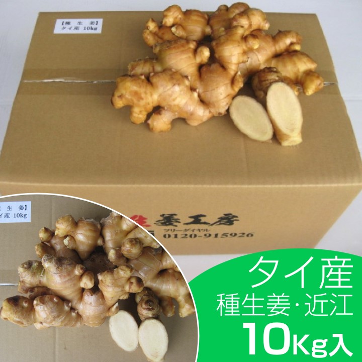 楽天市場】種生姜 中国広西省近江生姜（白）10kg : 生姜工房