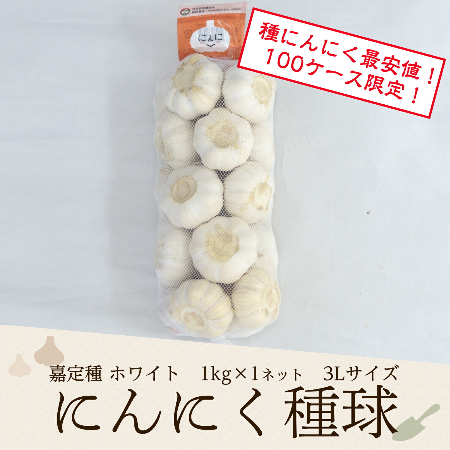 10kg 嘉定種 令和4年度産 ニンニク 中球(M球程度) にんにく 三重県産 国華園オンラインショップ / 送料込み ニンニク 種球 お試し嘉定