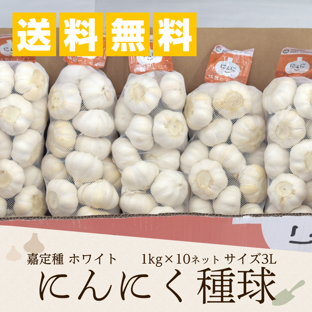 楽天市場】嘉定種ホワイトにんにく種球 1kg×1ネット 中国産（特栽にんにく）(中国規格3Lサイズ/1kgネットの目安玉数20-22個) : 生姜工房