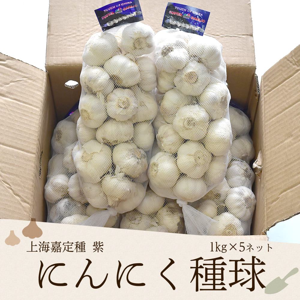 楽天市場】嘉定種ホワイトにんにく種球（特栽にんにく）1kg×10ネット 中国産[にんにく ニンニク] : 生姜工房