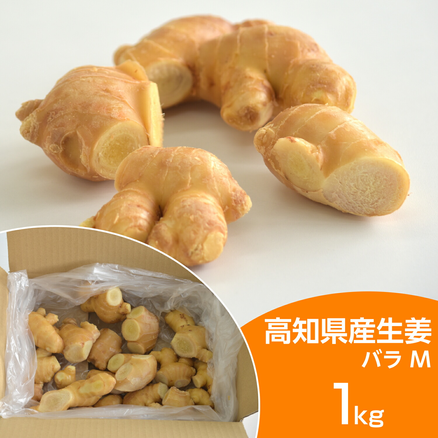 楽天市場】採れたて！高知県産ショウガ新生姜約4キロ : 文旦屋