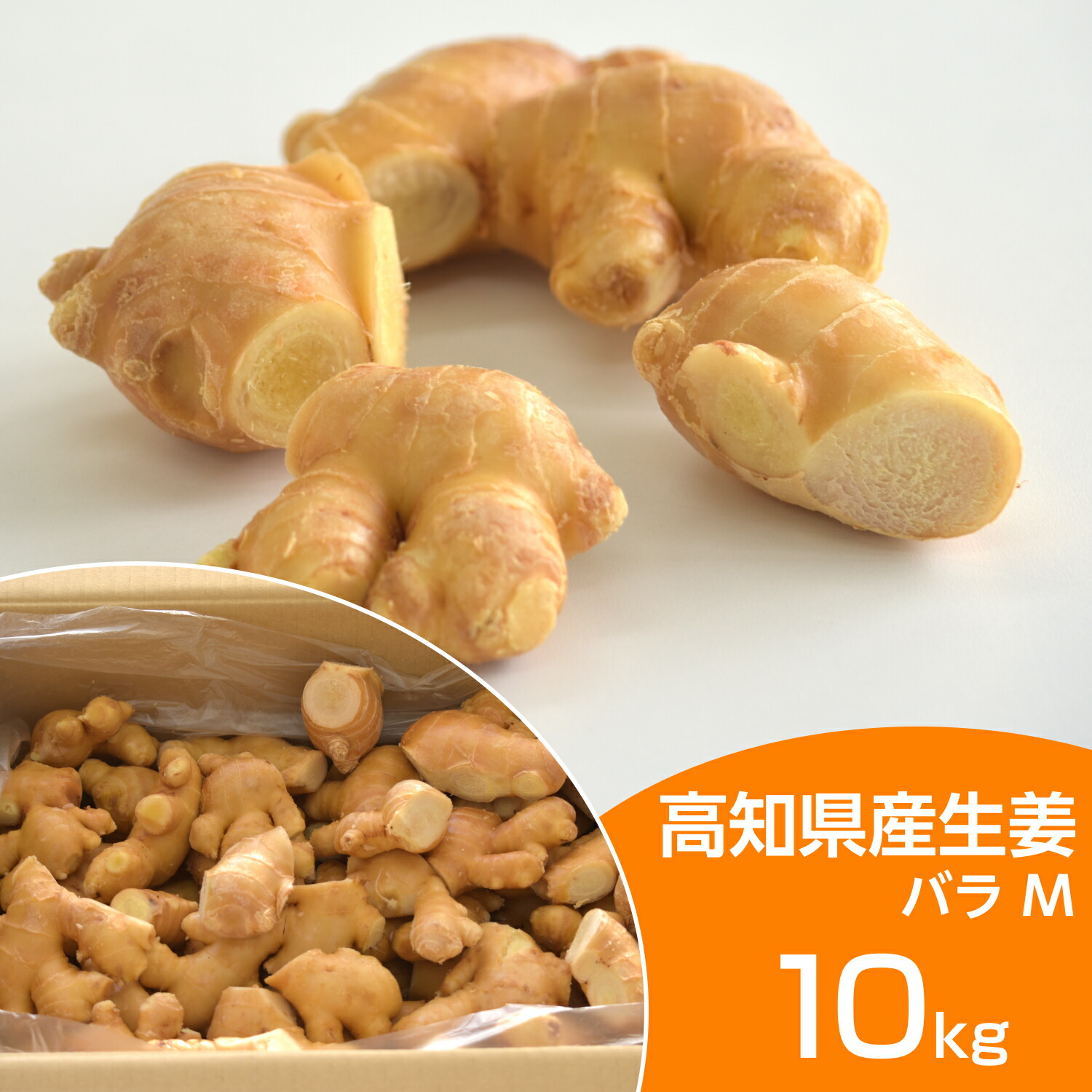 食用 高知県産生姜バラ Mサイズ 10kg