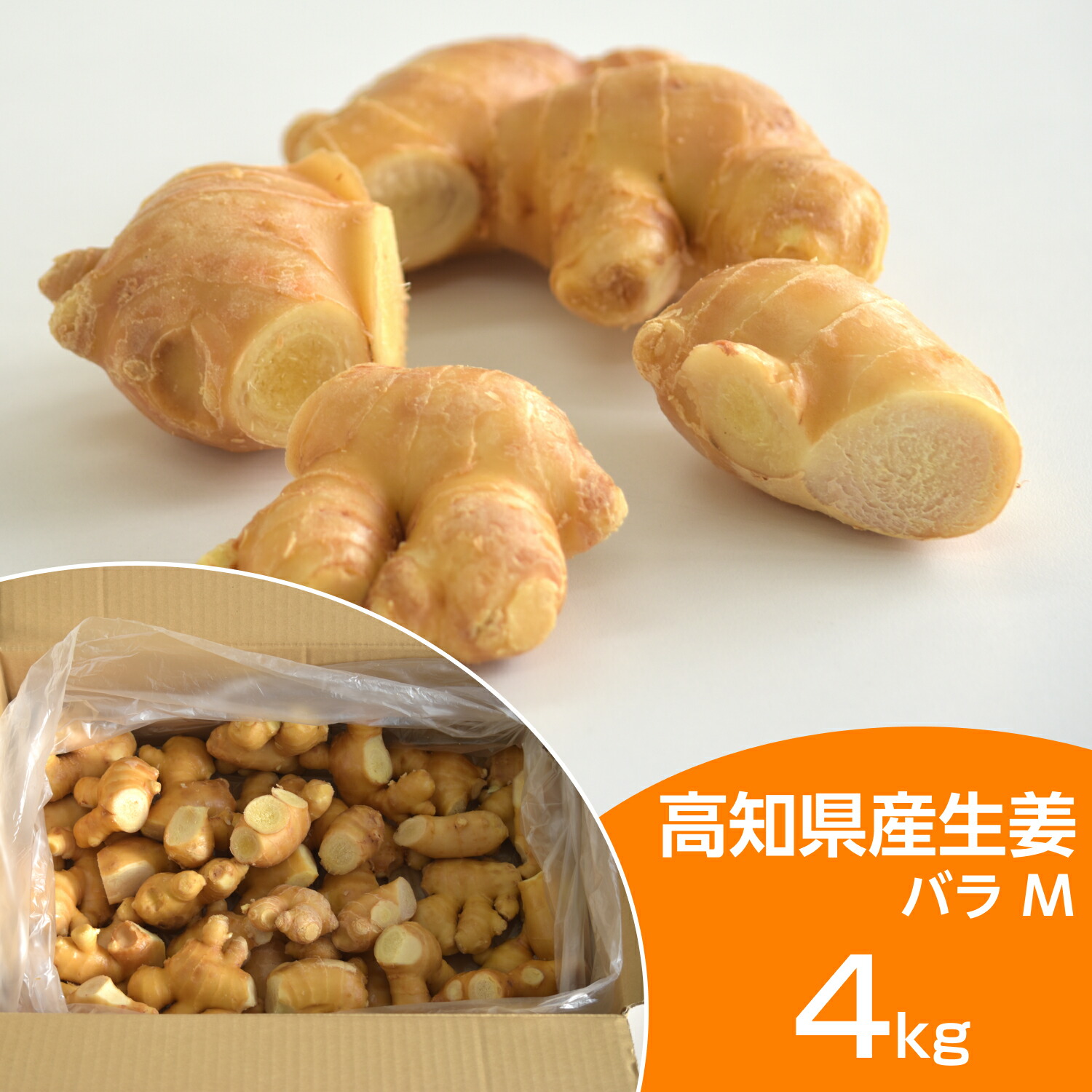 食用 高知県産生姜バラ Mサイズ 4kg