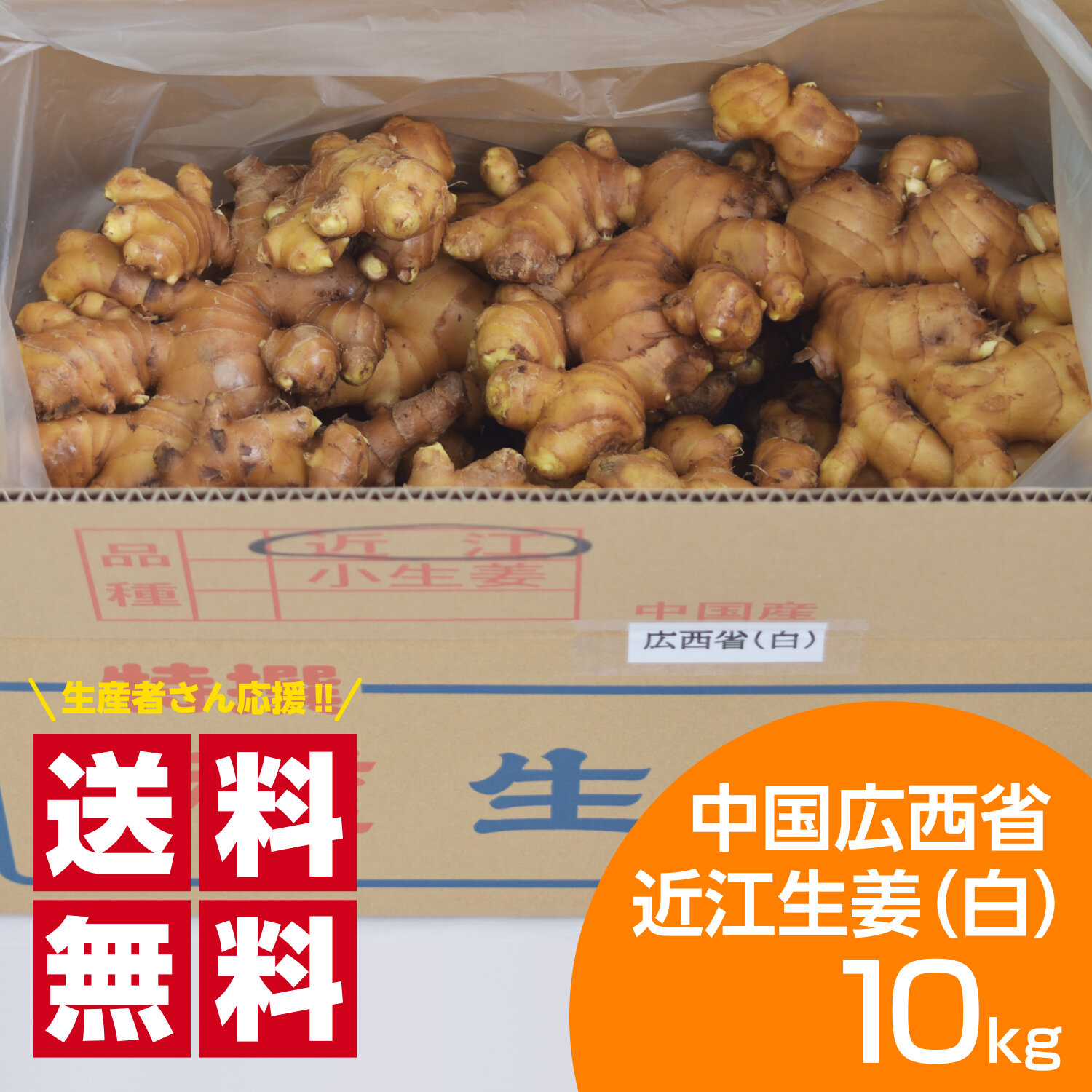 楽天市場】種生姜 中国広西省近江生姜（白）10kg 送料無料（沖縄除く