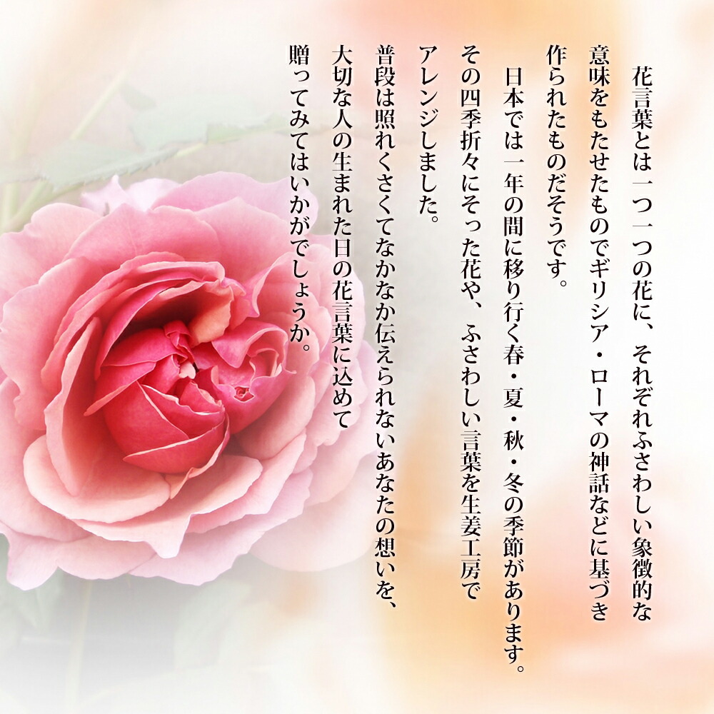 楽天市場 ハニージンジャーセット 送料無料 沖縄を除く ギフト 生姜工房