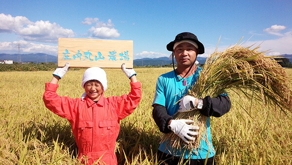 【送料無料】【令和7年度産新米!】山形つや姫【20kg】 減農薬特別栽培米 1等米 白米【農家直送!! 送料無料(一部追加あり】|庄内丸山農場