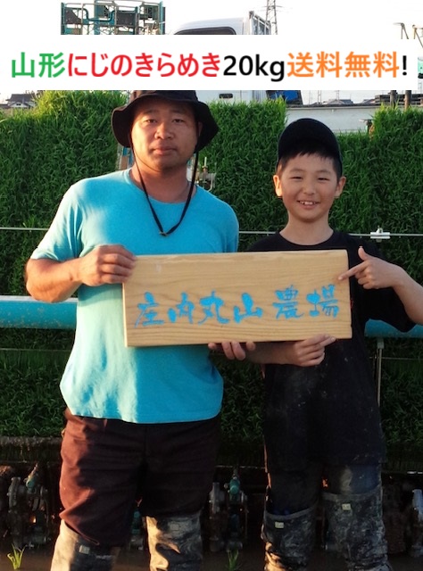 【令和7年度産新米】にじのきらめき　【20kg】白米１等米　山形　【農家直送！！　送料無料(一部追加あり】｜庄内丸山農場 11,700円