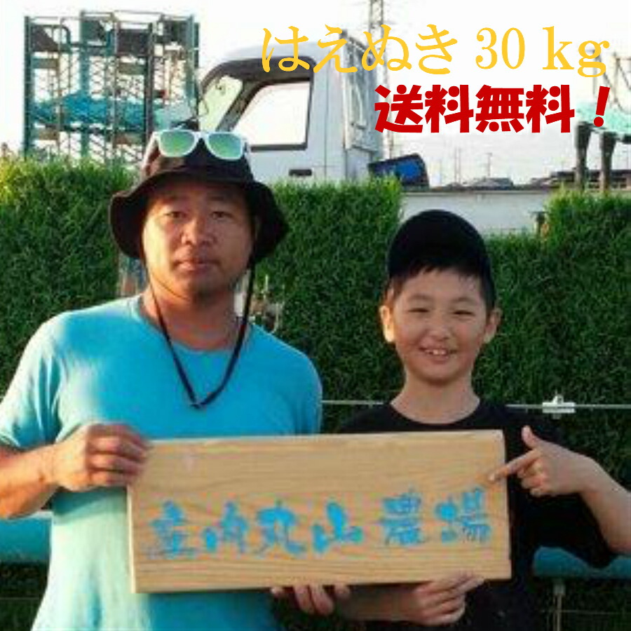 【令和7年度産新米！山形はえぬき30ｋｇ農家直送！！　送料無料(一部追加あり】【令和7年度産】山形はえぬき１等米【30kg】　白米（２７kg)玄米(３０kg)選べます 【農家直送！！　送料無料(一部追加あり】 米　30ｋｇ
