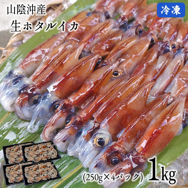 楽天市場】送料無料 アカイカ切れ端 1ｋｇ[冷凍]自家用(ソデイカ)*【1配送先で2セット購入毎に1 セット増量】見た目は悪い切れ端ですが味は美味しい人気のアカイカ : 本物を追求する フォーシーズン