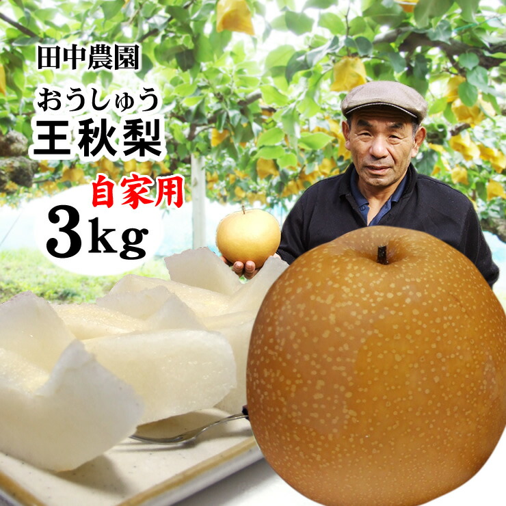 楽天市場】中野農園【あたご梨】（訳あり）5kgセット(自家用：5-14玉入り)【送料無料】[常温]鳥取県産[農家指定商品] 愛宕梨【11月中旬以降ご予約順発送予定】  : 本物を追求する フォーシーズン