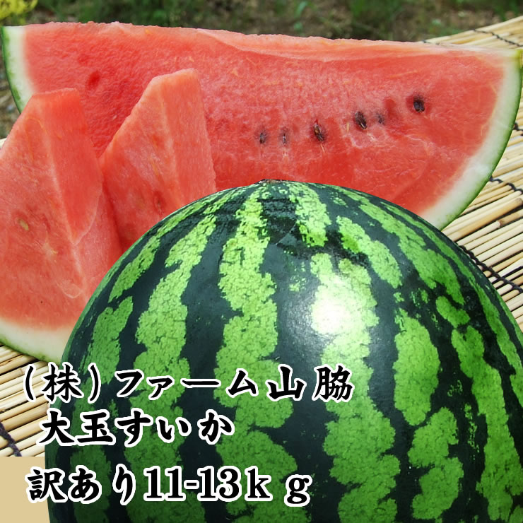 <br>【予約販売】送料無料！<br>ファーム山脇 大玉スイカ（ 1玉 11～13ｋｇ程度 )［訳あり］［鳥取県産西瓜］［常温]<br>6月上旬以降収穫があり次第出荷<br>すいか　鳥取すいか ssfs0604