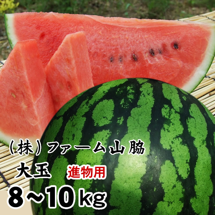 <br>【予約販売】送料無料！<br>ファーム山脇 大玉スイカ［進物用］（ 1玉 8～10ｋｇ程度 )［鳥取県産西瓜］［常温]<br>6月上旬以降収穫があり次第出荷<br>すいか　鳥取すいか お中元 ギフト 父の日 ssfs0604