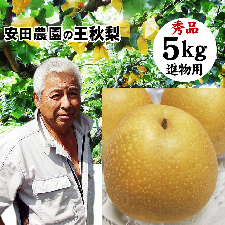 安田農園【王秋梨】5kgセット(秀品進物用：5-10玉入り)[常温]鳥取県産[農家指定商品]