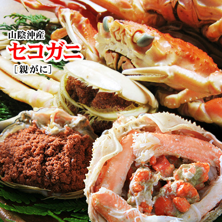 セコガニ（親ガニ）20匹 DSC_8595.jpg.webp