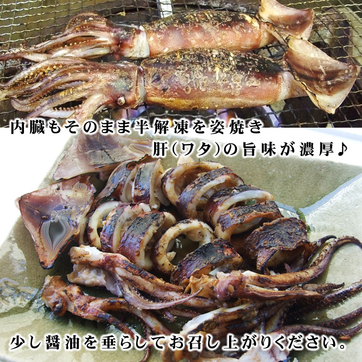 鮮度が良いから肝 ワタ も絶品 ケース販売 送料無料 船内冷凍スルメイカ 1ケース 36 40杯 セット 冷凍 鮮度抜群 お刺身用 釣りたて船で急速冷凍 船凍イカ するめいか ｉｑｆシマメイカ むぎいか