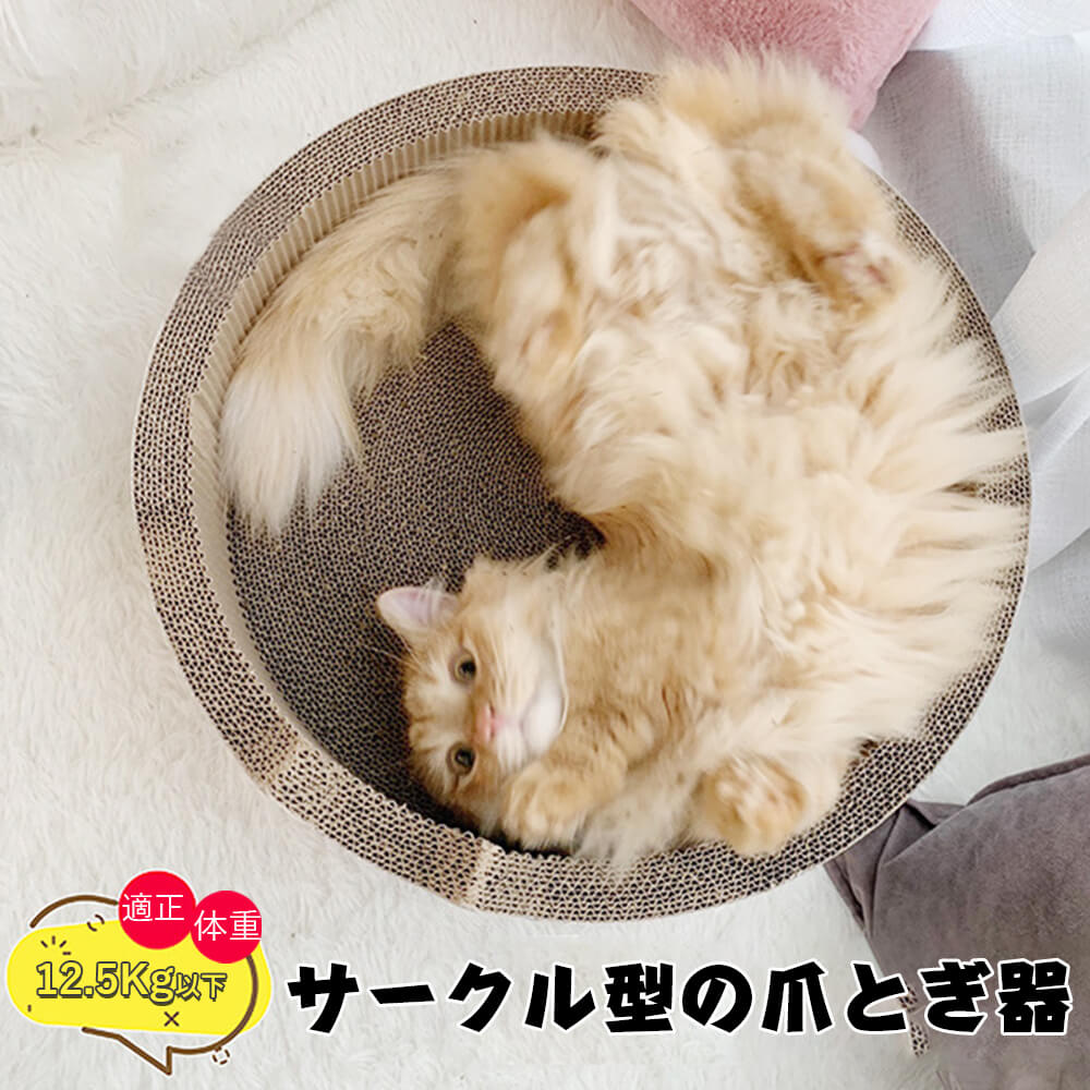 楽天市場】お買い物マラソン【P5倍】猫 爪とぎ 適正体重：12.5Kg以下