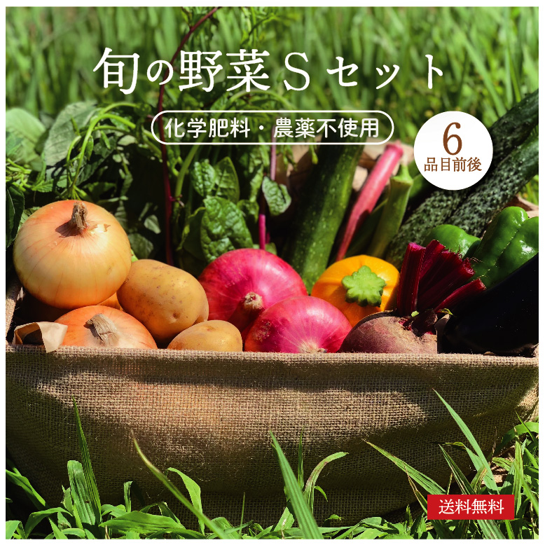 【楽天市場】旬の野菜 詰め合わせ 8品目前後 Mセット
