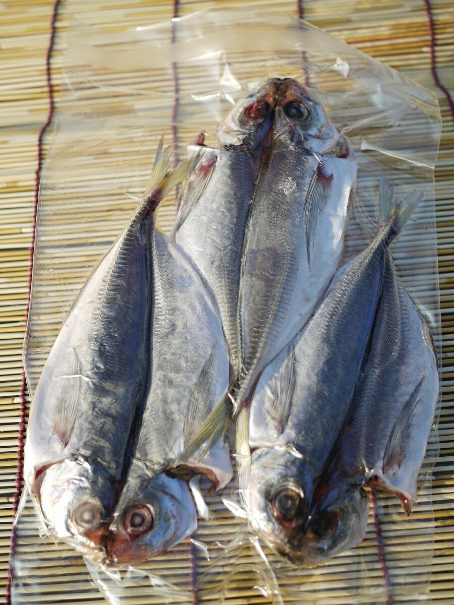 楽天市場 愛知 豊浜産 まると水産 真あじ開き 小 ５枚 ７枚 まると水産