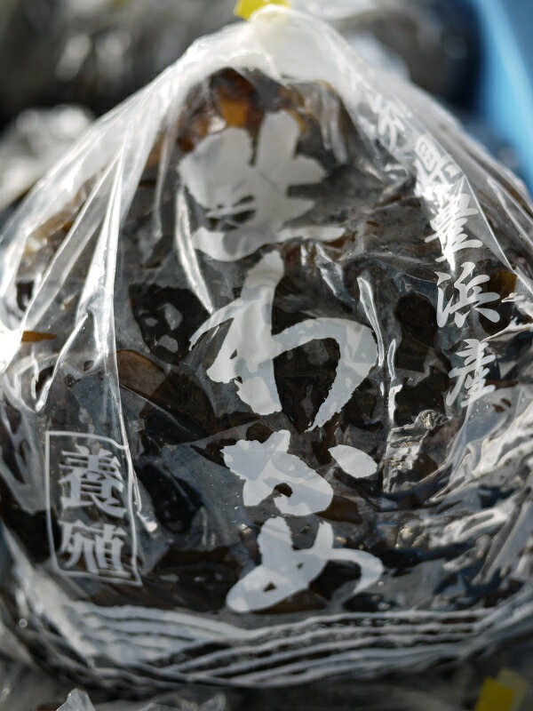 楽天市場 東海テレビ スイッチ 愛知 豊浜 漁師 直送 生わかめ 若布 ワカメ 養殖 1kg まると水産