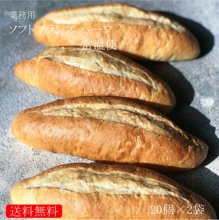 業務用 焼きたてソフトフランス ハーフ 常温便 国産 冷凍パン プロ仕様 業務用 工場直送 手作り バインミー(ベトナム風サンドイッチ) 送料無料 フランスパン サンドイッチ ラスク ホットドッグ コッペパン サンドイッチ パニーニ ホットサンド
