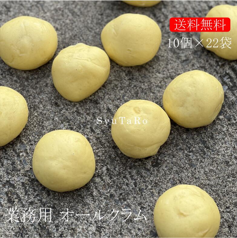 業務用 焼きたてオールクラム 冷凍便業務用 国産 冷凍パン プロ仕様 八戸朝市発 夜食 保存食 工場直送 手作り 送料無料 マクロビ プラント・ベースド 植物性食品 Ve|しゅうたろう 店