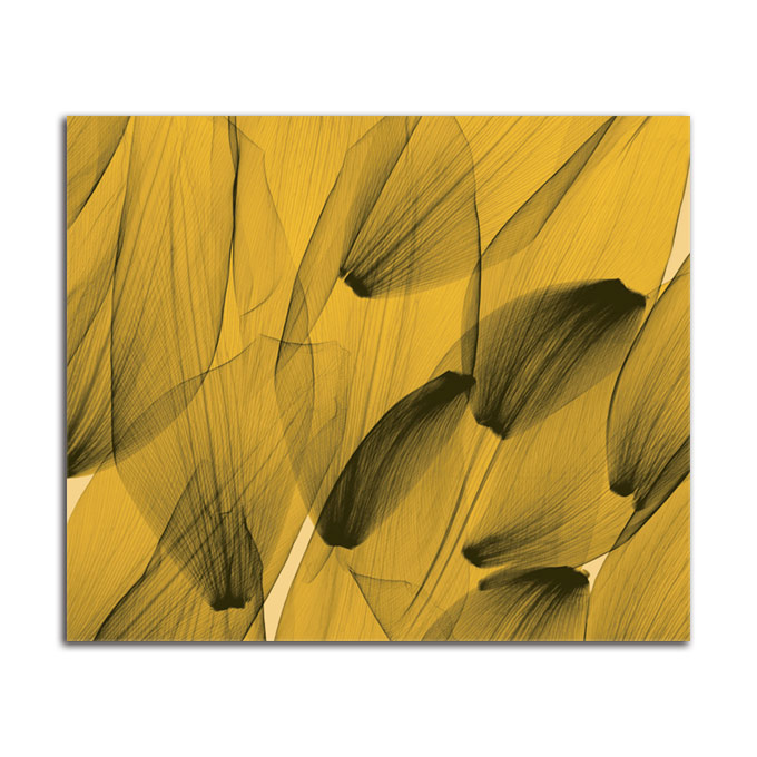絵画 大型 高級 花 Tulip Petals Gold SIZE mm 1000*800 おしゃれ 壁掛け 絵 写真 インテリア 繊細美 レントゲン アート