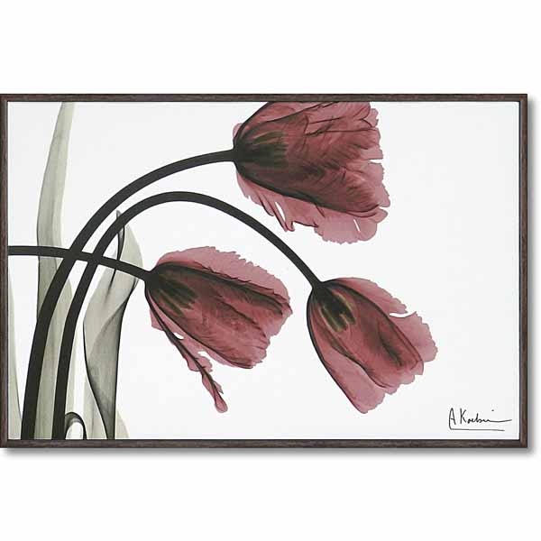 楽天市場】x-ray アートフレーム キャンバスアート 花 アートパネル