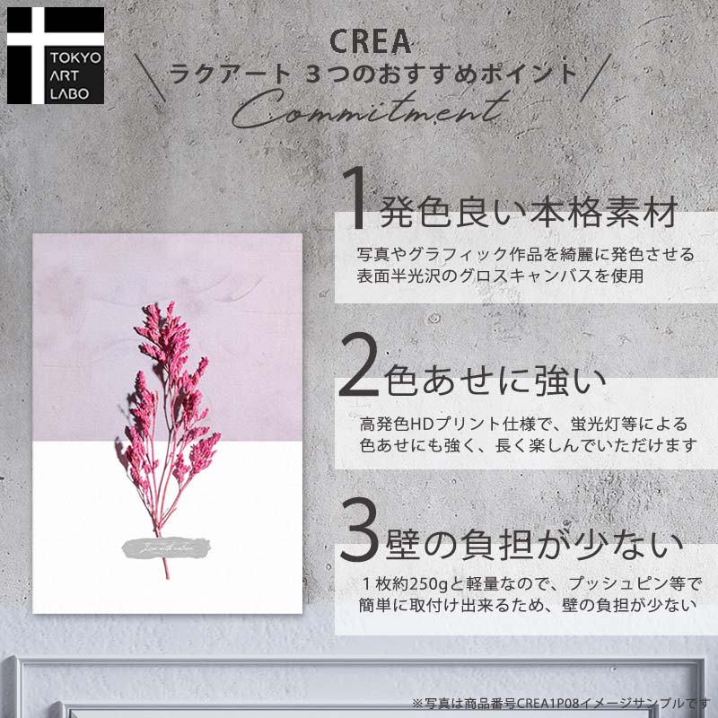 Crea アートパネル 3枚セット Iconic Pop インテリア アート 絵 おしゃれ かわいい 壁掛け モノクロ モノトーン シャネル 海 サーフィン 女性 ブランド オマージュ ポスター Mavipconstrutora Com Br