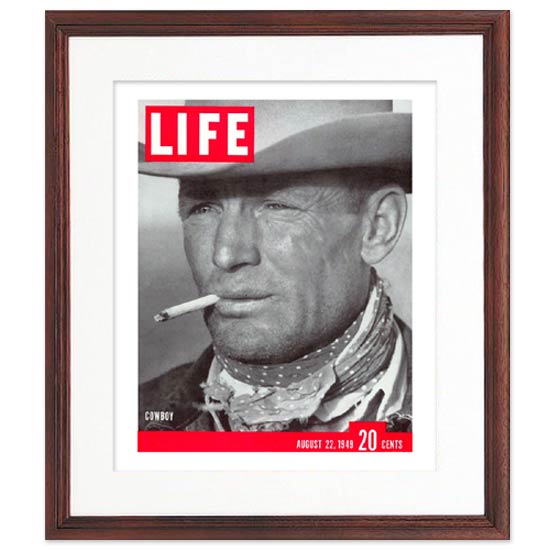ヴィンテージポスター　額　LIFE誌　ワーゲン　パシフィックファニチャー ヴィンテージポスター 額 LIFE誌 ワーゲン パシフィック