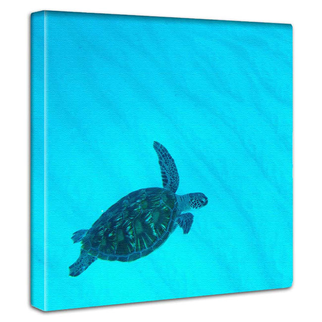 楽天市場 送料無料 ハワイ アートパネル 雑貨 土産 海 ウミガメ 海亀 亀 Turtle ハワイ語 アートプリント 絵 デザイン インテリア ハワイアン アート Hawaii Makai Play Of Light