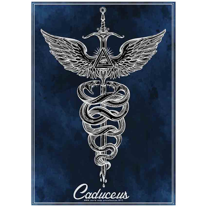 楽天市場】プロ仕様高解像度 アートポスター ファラオ スカラベ