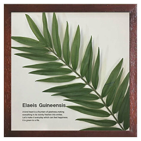 リーフパネル Elaeis Guineensis インテリア 壁掛け アートパネル 絵 新築 開店祝い 結婚祝い 【RSL】