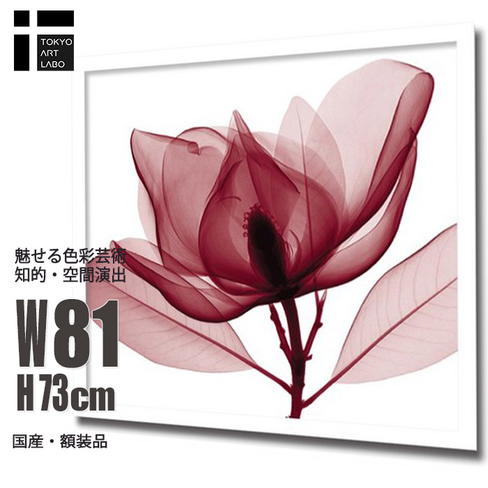 【限定クーポン配布中】【ランキング1位獲得】アートパネル 北欧 壁掛け 壁飾り 花 Red Magnolia マグノリア レントゲンアート 絵画 インテリア おしゃれ シンプル 寝室 リビング オフィス ホテル 玄関 装飾 開店祝い 開業祝い 病院 クリニック サロン