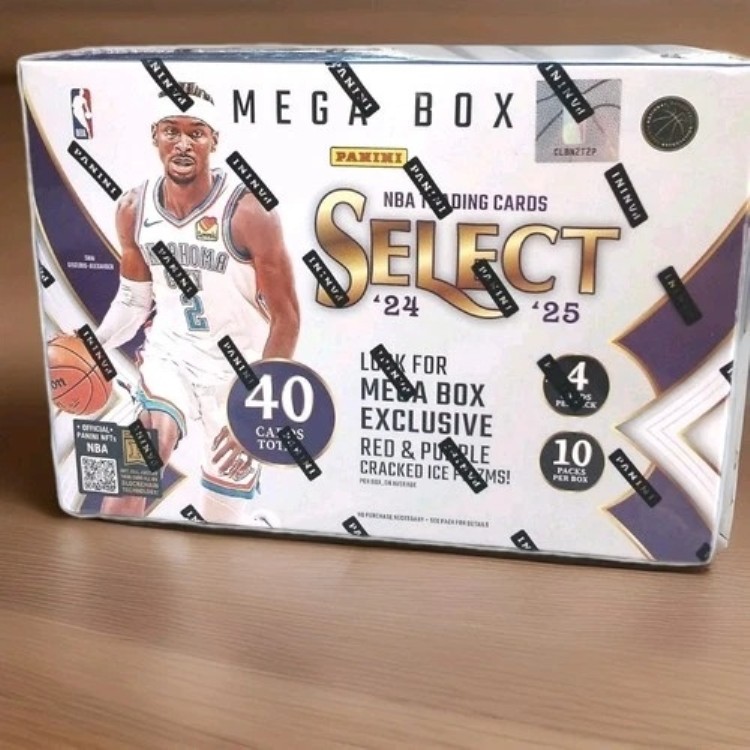 2024-25 パニーニ セレクト バスケットボール メガボックス 工場未開封 レッドアイス プリズム RC NBA｜トレーディングカード　ラフテル