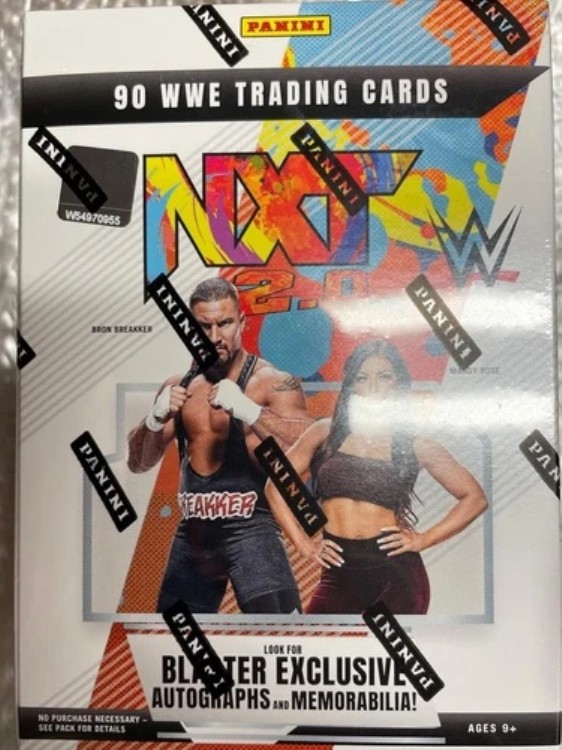 2022 NXT WWE ブラスターボックス 工場未開封 1箱あたり90枚のカード 1箱あたり6パック 15カード｜トレーディングカード　ラフテル