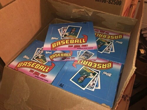 1989年 Topps ベースボール チェロボックス ロット 24個入り 未開封ケース入り 2箱｜トレーディングカード　ラフテル