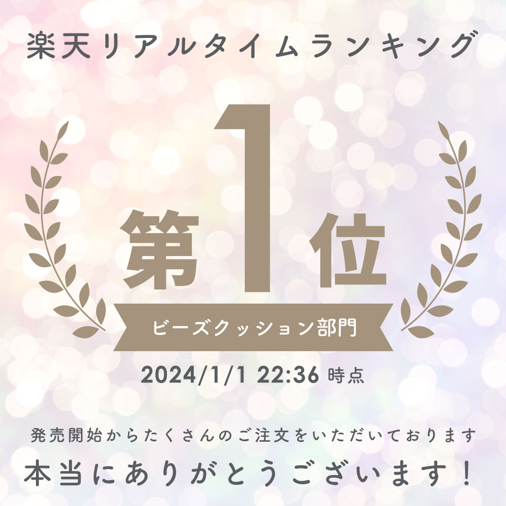 NERUS 正規品 クッションソファ ふわとろソファ クッションソファ