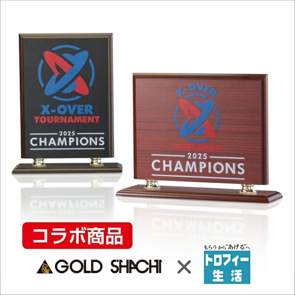 【全品10倍！】ポイントup中-ビッグボード AL-103 | トロフィー クリスタル 優勝 ガラス バスケ サッカー 野球 ゴルフ スポーツ 表彰 名入れ 卒業 卒団 記念品 景品 コンペ MVP 高級 おしゃれ キレイ モダン