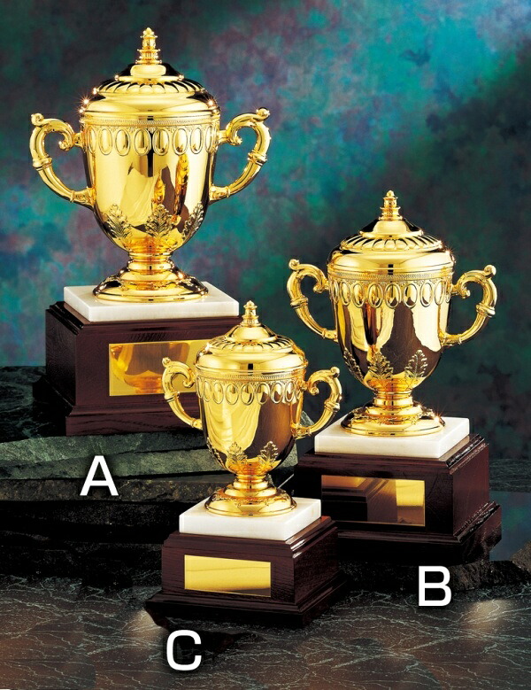 【全品10倍!】ポイントup中-優勝カップ S-NO-4503 | 優勝トロフィー カップ コンペ 景品 表彰 ゴルフ 記念 サッカー 野球 テニス メダル 水泳 卓球 バドミントン バレー カラオケ ダンス カメラ 麻雀|トロフィー生活(立川徽章)