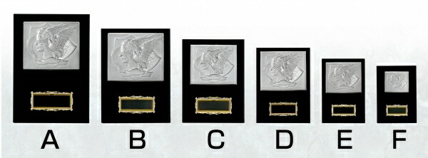 【全品10倍！】ポイントup中-表彰楯 SY-K-5067 A (H-5) | トロフィー 楯 表彰楯 高級 シンプル 金 銀 ゴールド シルバー オシャレ ゴージャス 優勝 スポーツ 大会 記念 プレゼント かっこいい ゲーム 表彰品 名入れ 写真 印刷
