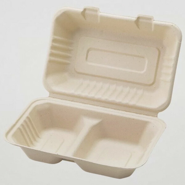エコ容器 環境容器 BBランチ240-150-2 250枚入り エフピコ バガス 竹 11608