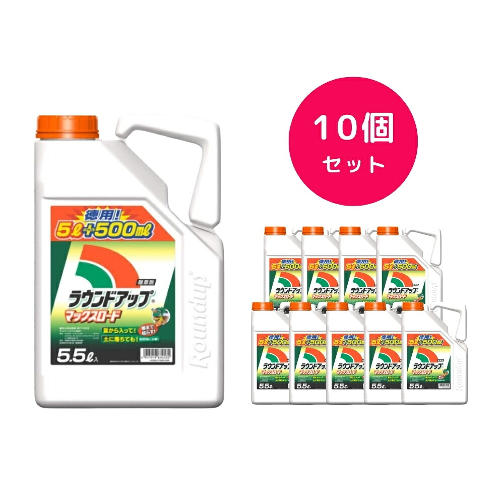今季注目 本日発送 M1S5I3JK4W3 [M1S5I3JK4W3]