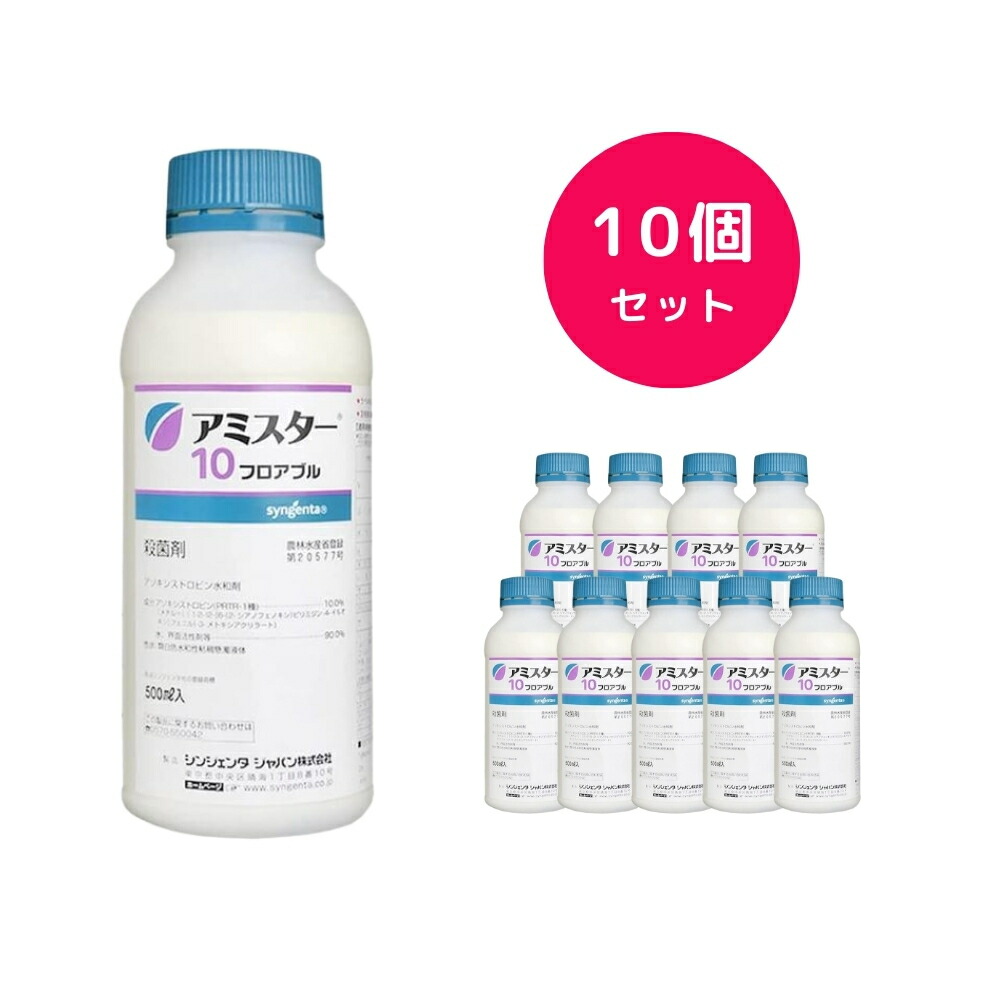 【10個セット】 アミスター10フロアブル 500ml うどんこ病 炭疽病 黒とう病 灰色かび病 べと病 枝膨病 晩腐病 褐斑病